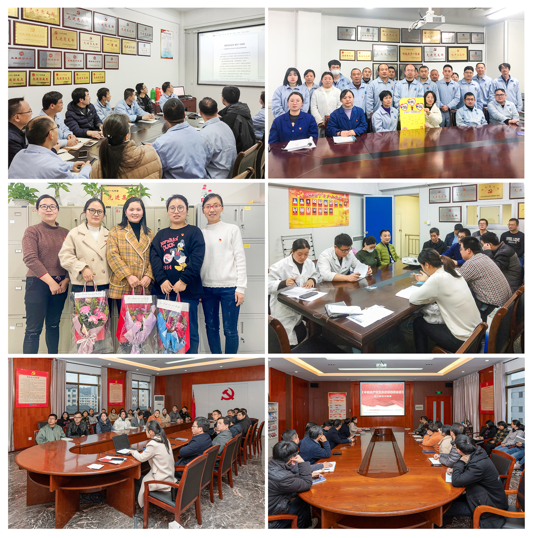 1615518223776788nNPY.jpg 新昌制藥廠2月份主題黨日活動照片(沈鋼、何媛媛、宋晗、董鵬城、商景天攝).jpg